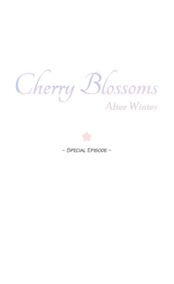 Cherry Blossoms After Winter Ch.146.5